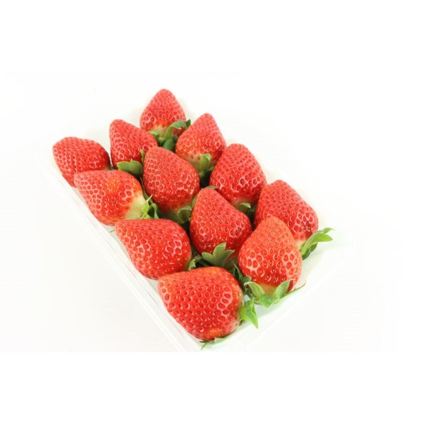 熊本 夕紅草莓